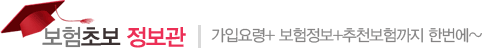 보험초보 정보관